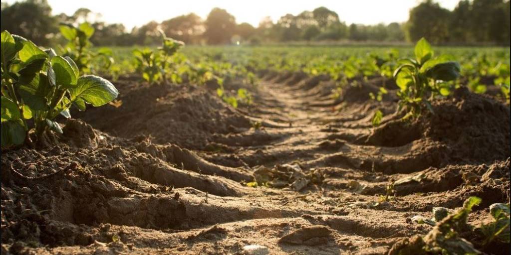 Sites pollués : que dit la loi ALUR ?